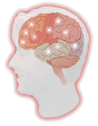 pulsing animated gif of white dots moving throughout the brain