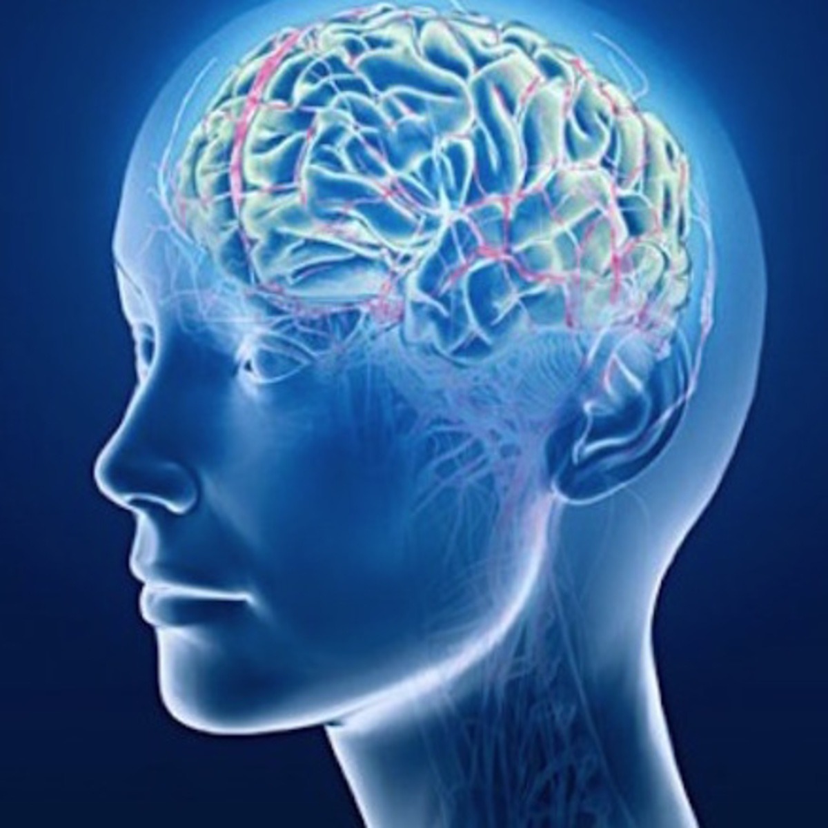 brain_icon-square graphic of the human brain