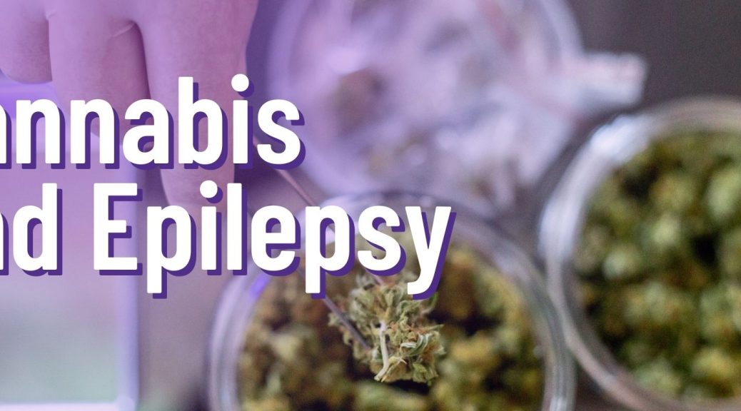 A latex gloved had takes holds Cannabis plant with tweezers over jars of more cannabis